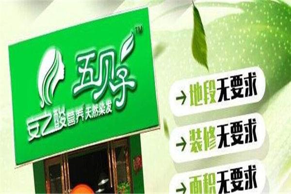 植物染發(fā)加盟店