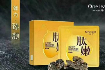 【一葉子面膜】一葉子面膜誠(chéng)邀加盟